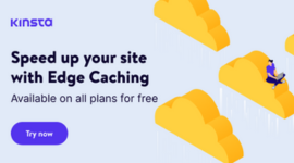 Kinsta Hosting Service Speed Up